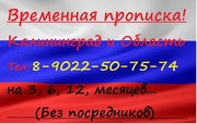 Прописку в Калининграде или области. Без посредников!
