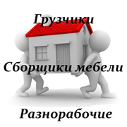 Услуги грузчиков в Ростове на Дону , Сборщики мебели, Землекопы