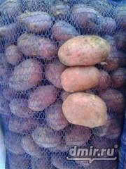 Продам овощи: картофель ,  ,  капусту . 