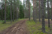 Продам земельные участки от 6 соток