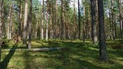 Продам участок 8 соток в п.Скотное