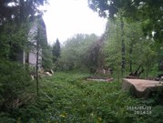 Участок в п.Елизаветино (Николаевка) Гатчинский р-он
